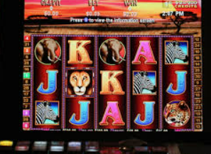 鲸鱼体育电脑免费版