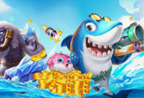 鲸鱼体育手机版