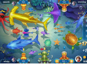 鲸鱼体育最新版